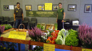 dsc08789-villa-marina