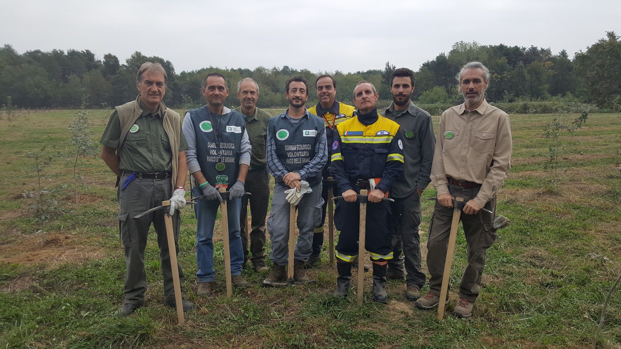 Green Belt 2017