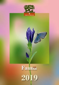 calendario locandina