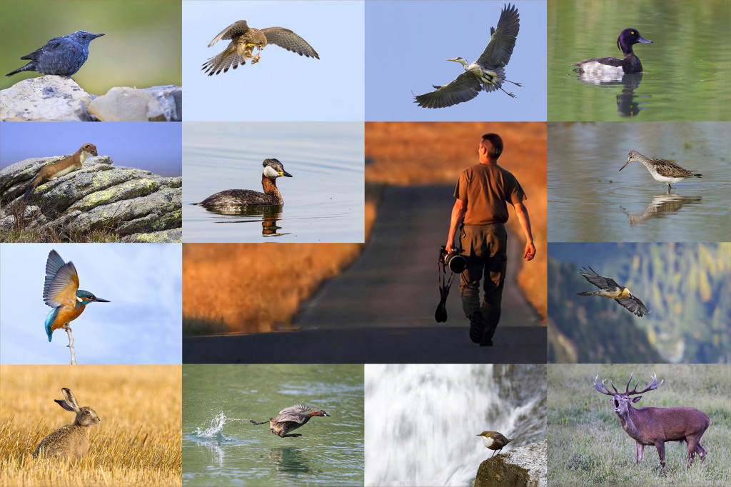 Immagine volantino-1 fotografo