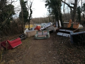 IMG-20190211-WA0019