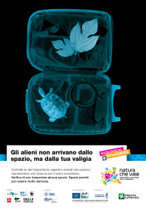 Aliens_Poster70x100_Ita foto