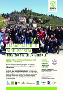 Servizio-Civile-DEF (1)