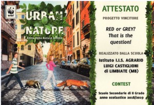 WWF Attestato002