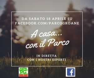 Semplice Immagine Con Bordo Promozione Vacanze di Primavera Post di Facebook
