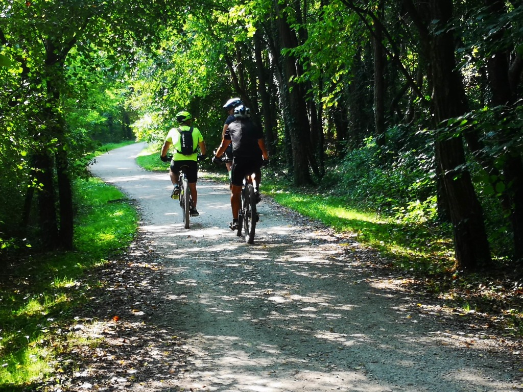 MANUTENZIONE PISTE CICLOPEDONALI (1)