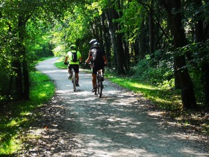 MANUTENZIONE PISTE CICLOPEDONALI (1)