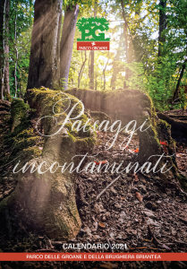 Copertina_Groane Calendario 2021 Muro foto