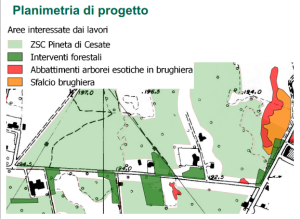Planimetria Pineta di Cesate