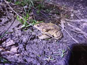 WhatsApp Image 2021-02-24 at 16.55.25 (3)