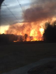 WhatsApp Image 2021-03-22 at 11.54.08