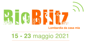 Bioblitz da casa mia-date
