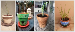 Secondaria 1AT Castiglioni