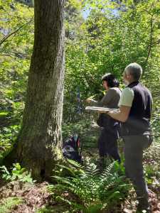 WhatsApp Image 2021-05-18 at 11.54.30