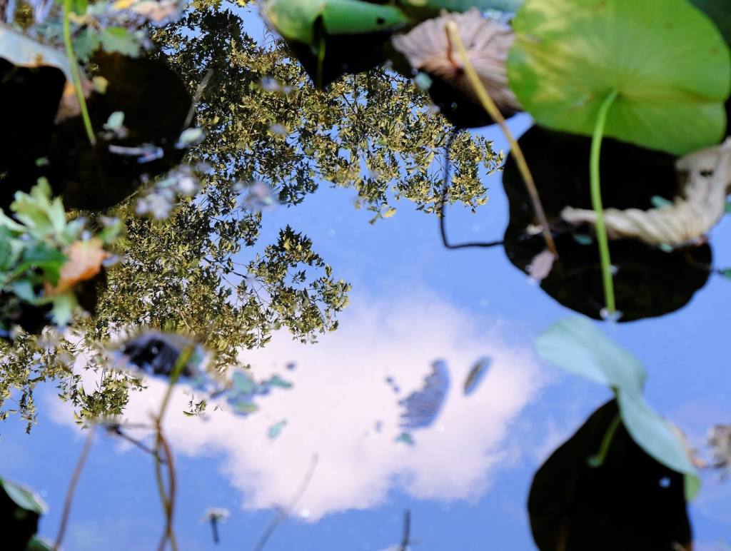 224824574_4273248929422865_7823658774959029446_n