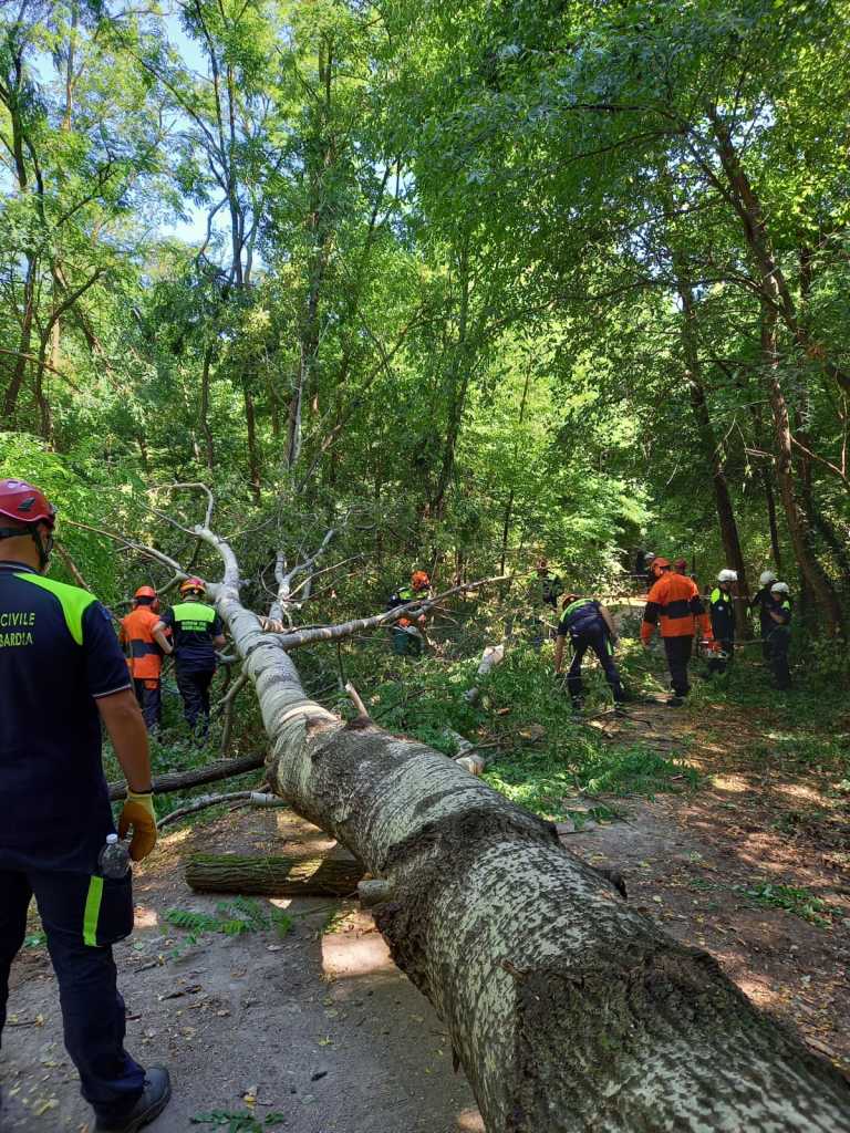 WhatsApp Image 2022-06-27 at 10.45.29 (1)