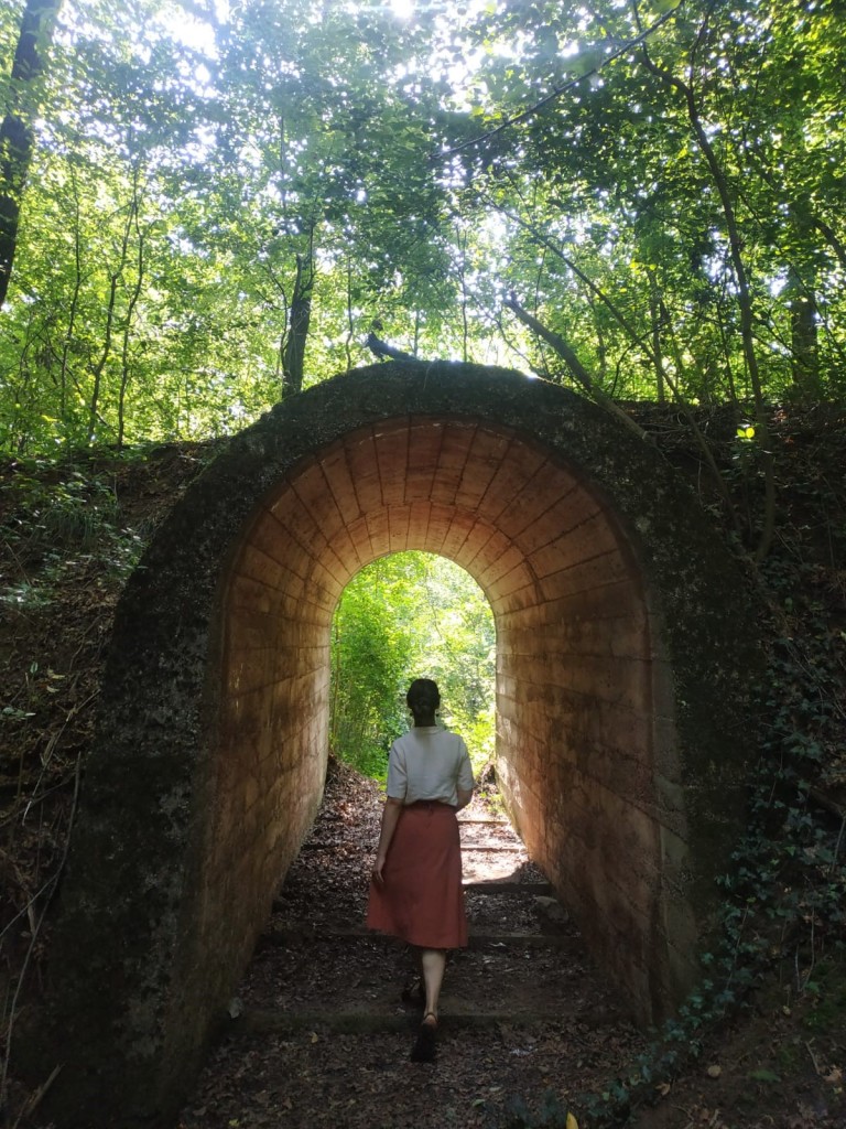 Allascopertadellapolveriera