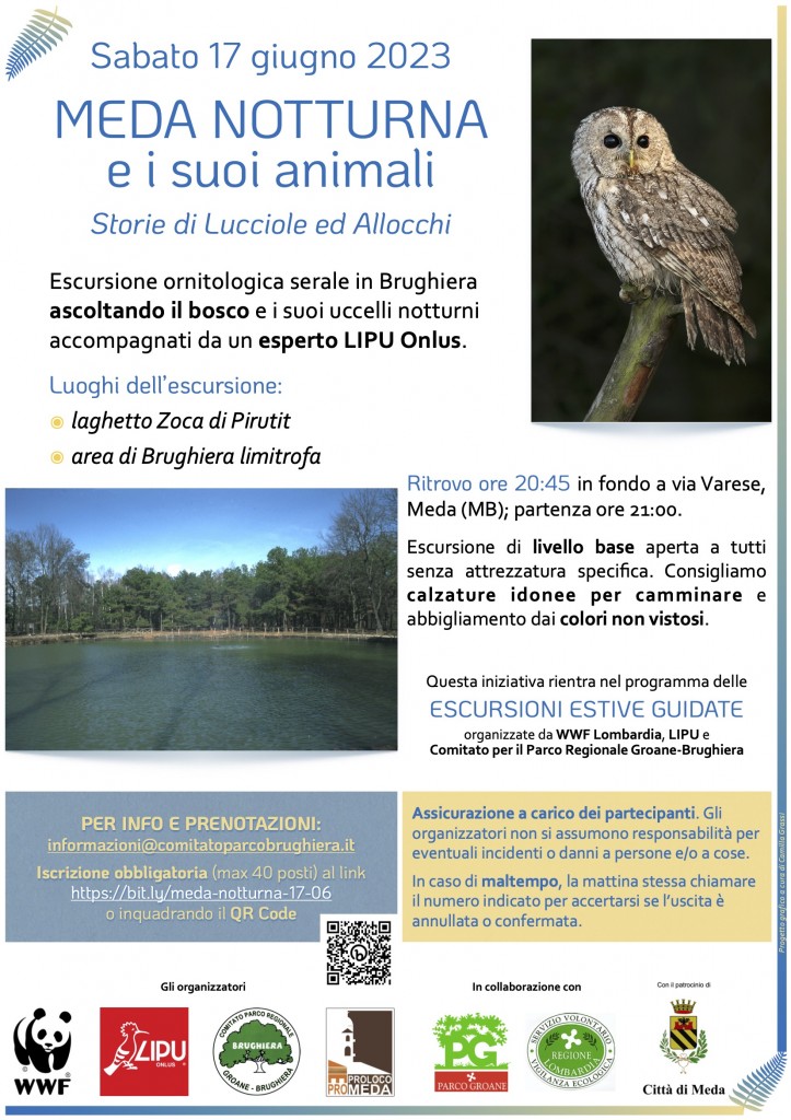 escursione-meda-notturna-2023