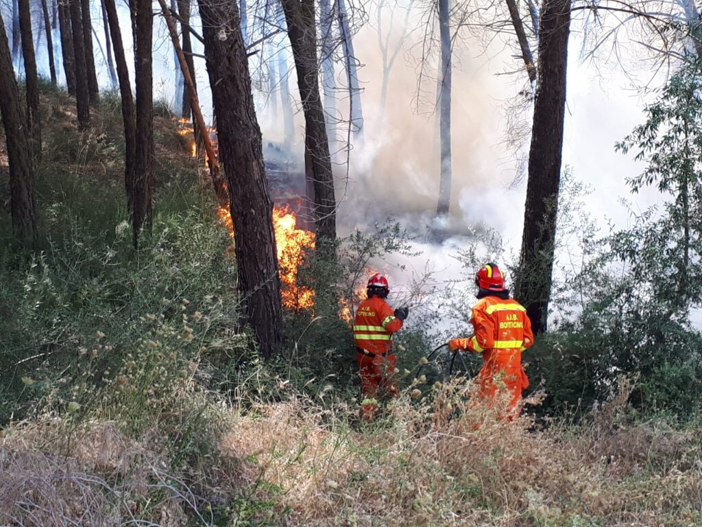 WhatsApp Image 2023-07-26 at 09.48.59