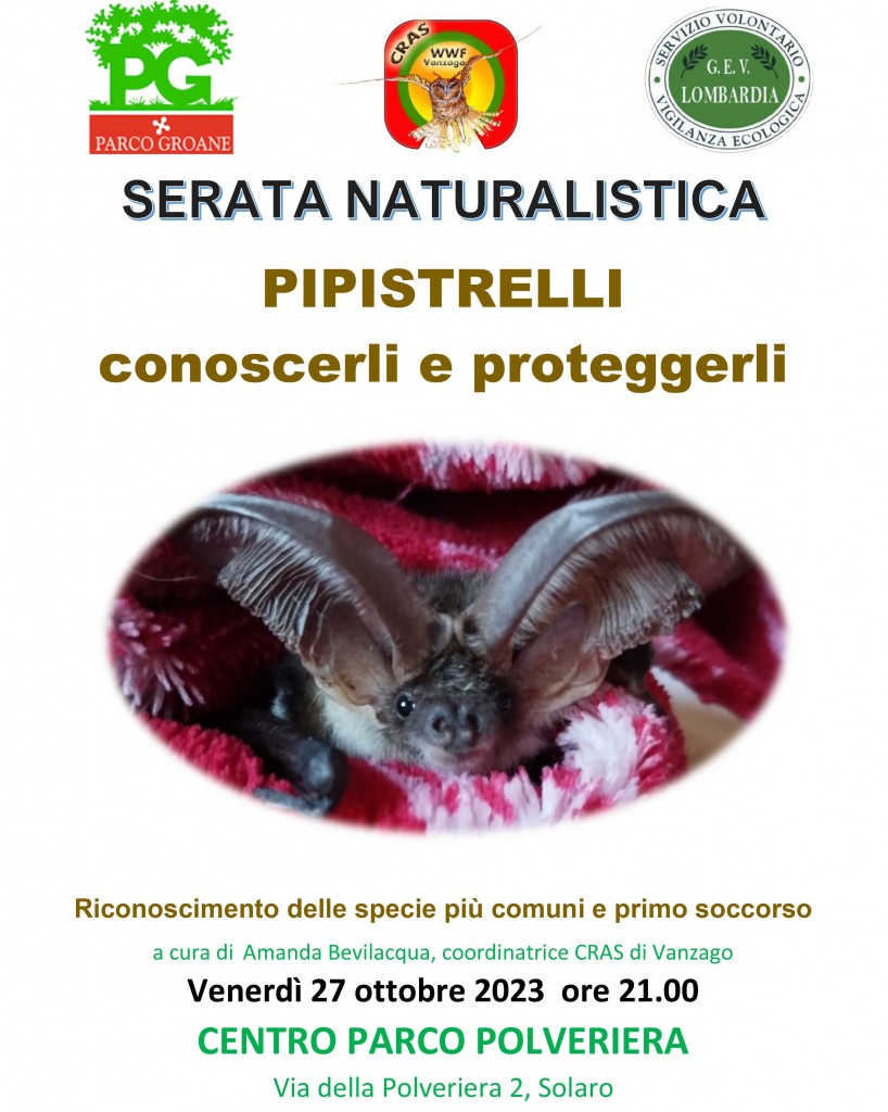 SERATA-NATURALISTICA-pipistrelli