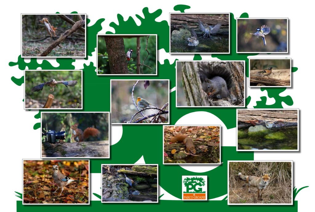 PARCO-GROANE-calendario-24-15