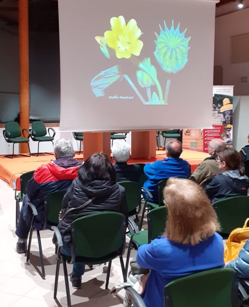 WhatsApp Image 2024-04-11 at 23.46.58