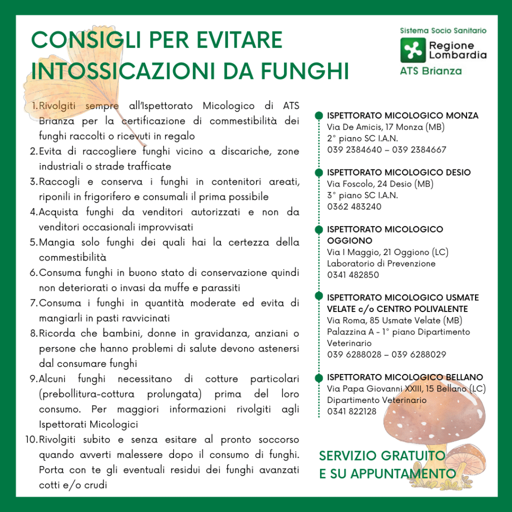 Volantino Funghi italiano