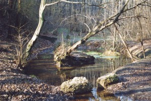 4e35c842-b070-454a-afe4-5975436ec6ca