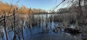 85427ca0-e7f0-4397-ab44-7f47bfcc6312