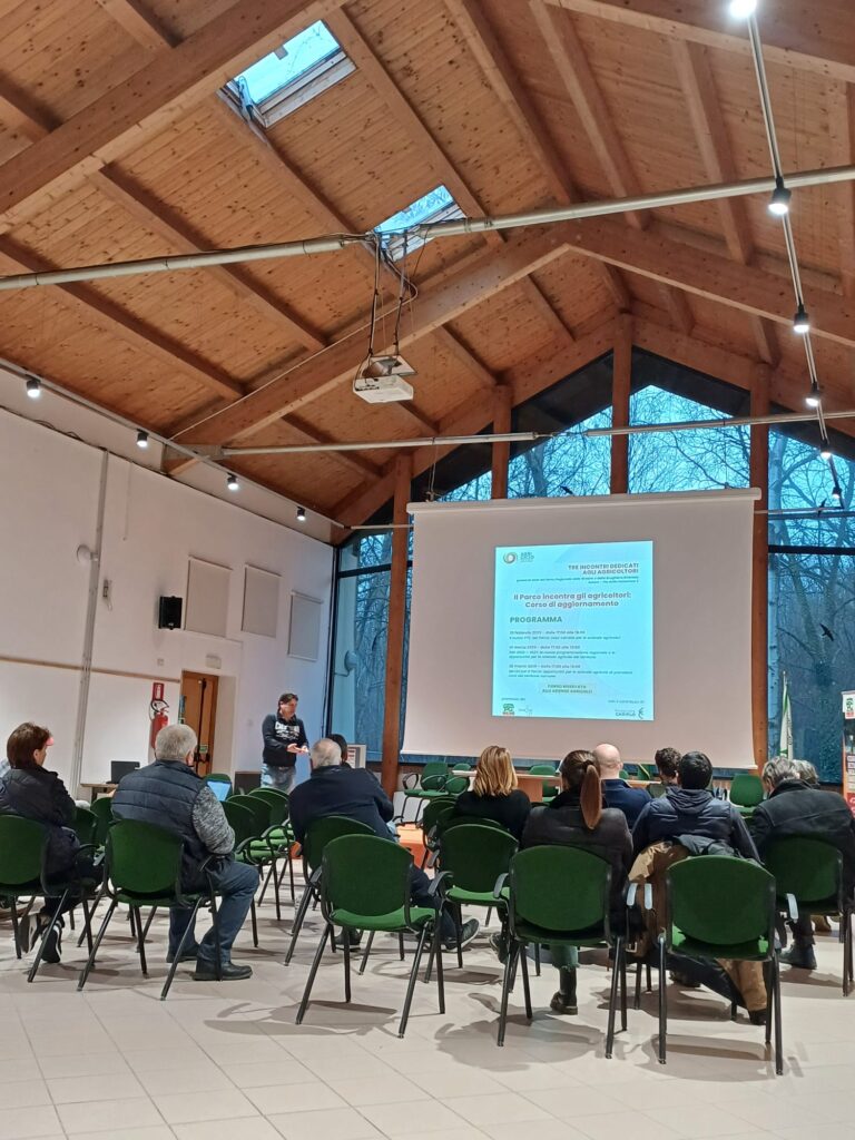 WhatsApp Image 2025-02-25 at 17.27.05 (1)