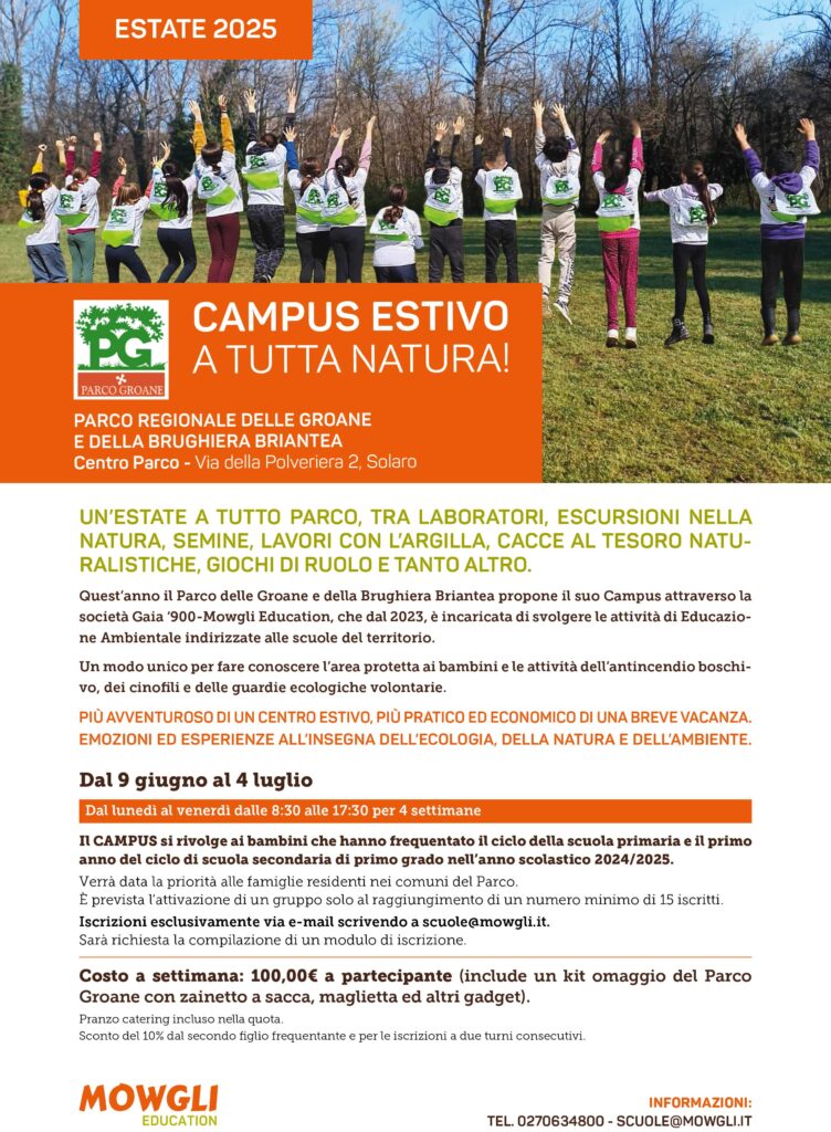 CampoEstivo-Groane_2025_Lay06_definitivo