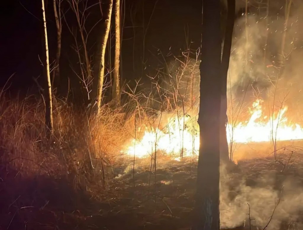 incendio-cogliate