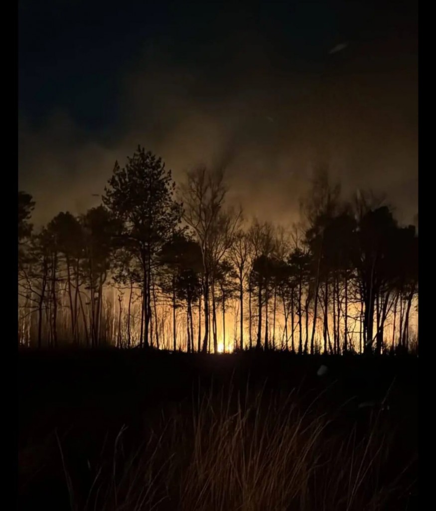 incendio-cogliate2