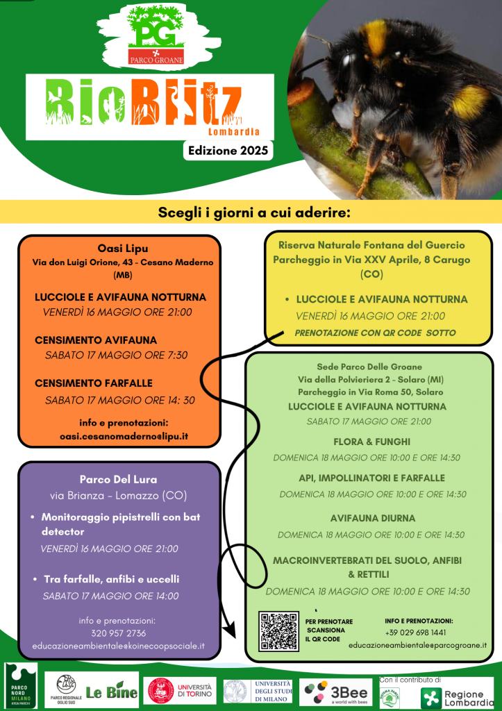 Volantino A4 14.04.2025