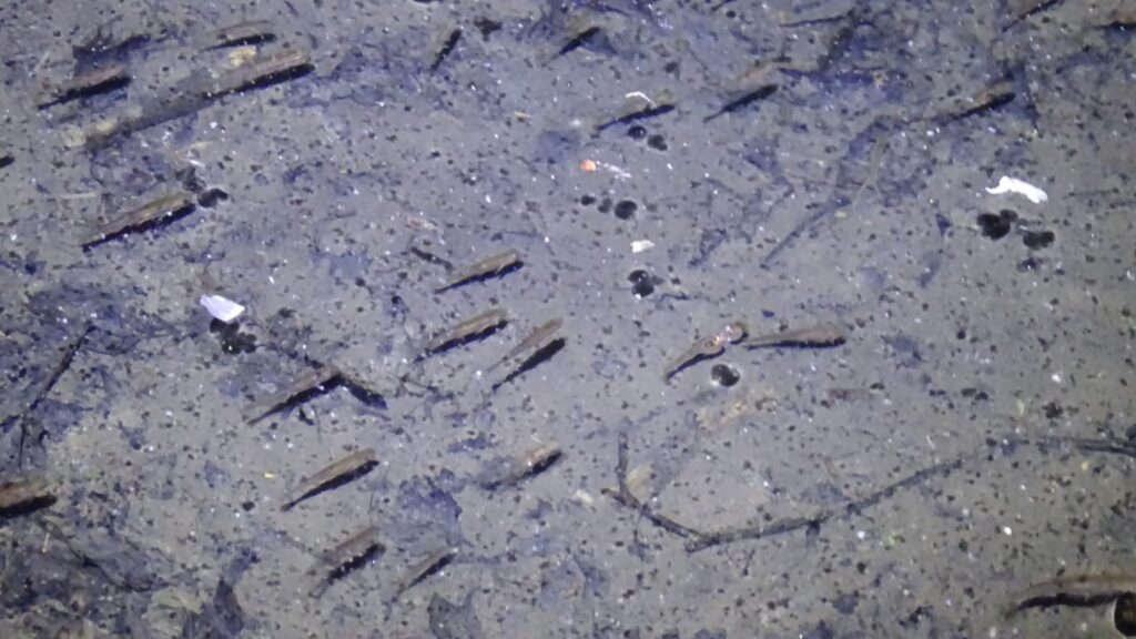 WhatsApp Image 2025-05-17 at 09.46.56 (3)