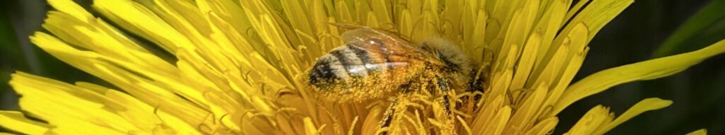 Parco delle Groane e della Brughiera Briantea Hero Punti di interesse - Dove mangiare