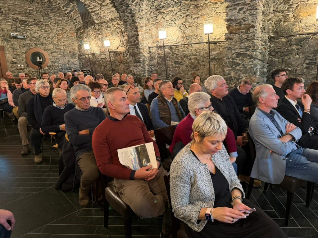 WhatsApp Image 2025-12-03 at 13.26.41