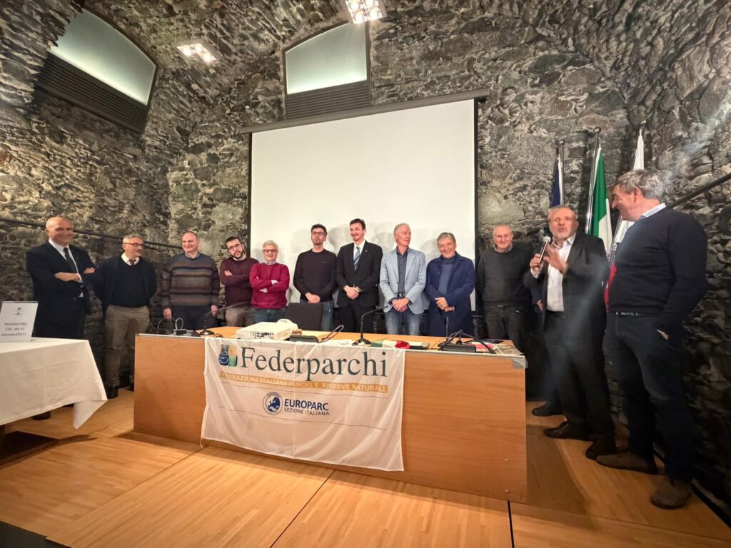 WhatsApp Image 2025-12-03 at 13.26.42