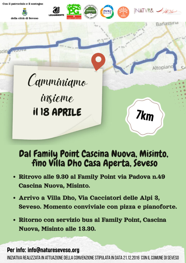 Locandina-definitiva-Camminiamo-insieme