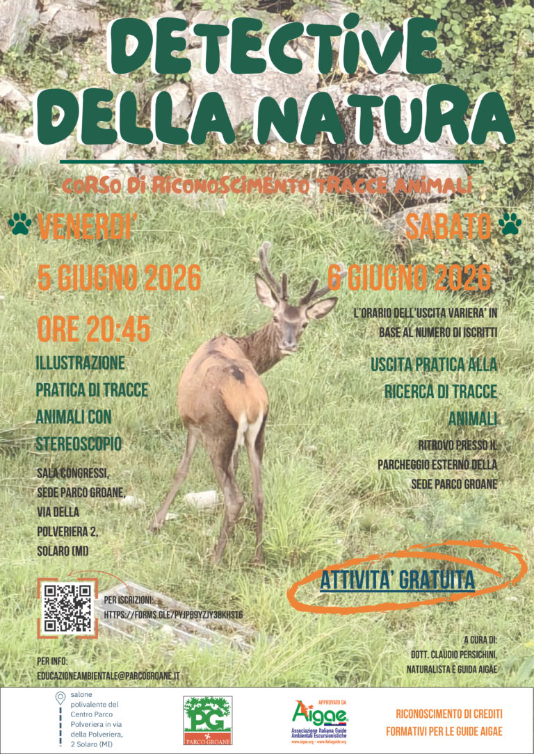 Locandina-cittadini