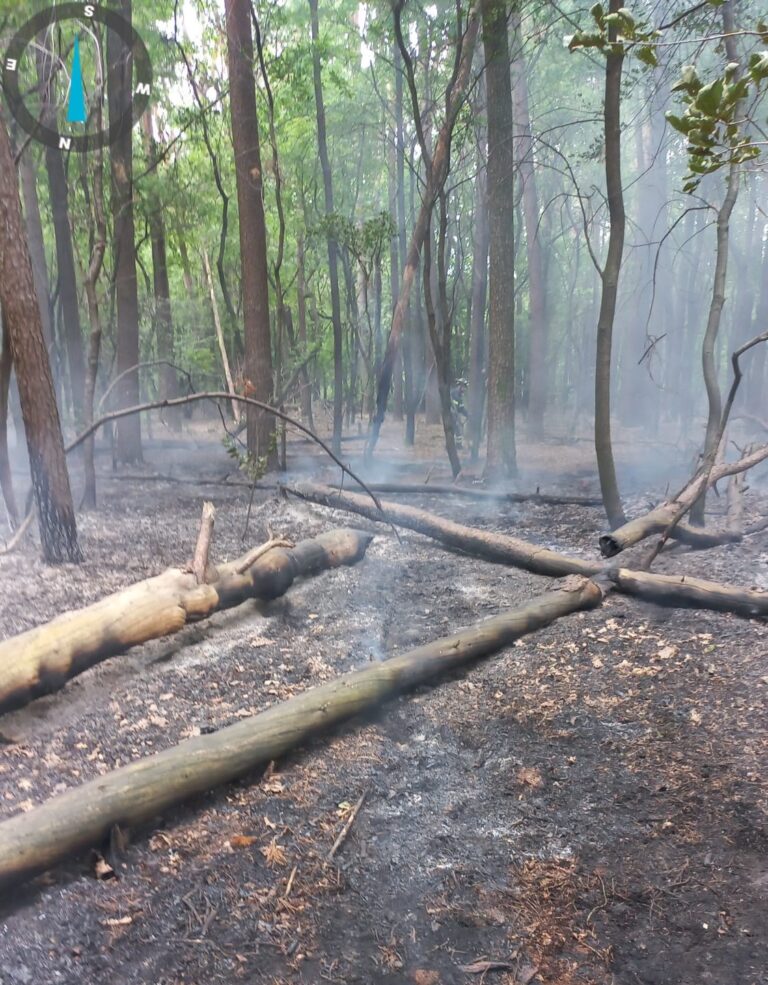 Incendio Solaro giugno 26 (1)