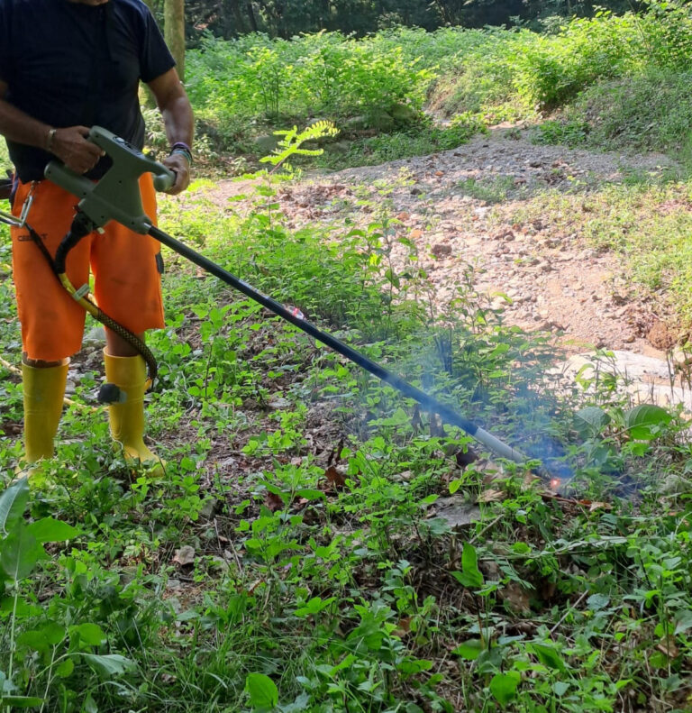 Poligono Giappone Fontana Guercio (4)