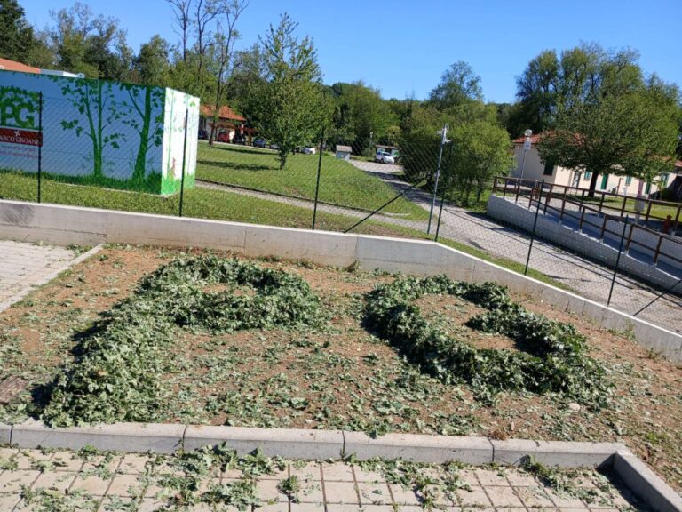 Volontari giugno 2026 strade libere e logo foglie (14)