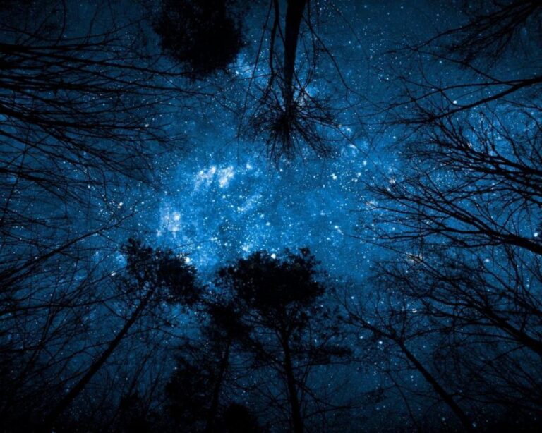 Cielo Stellato