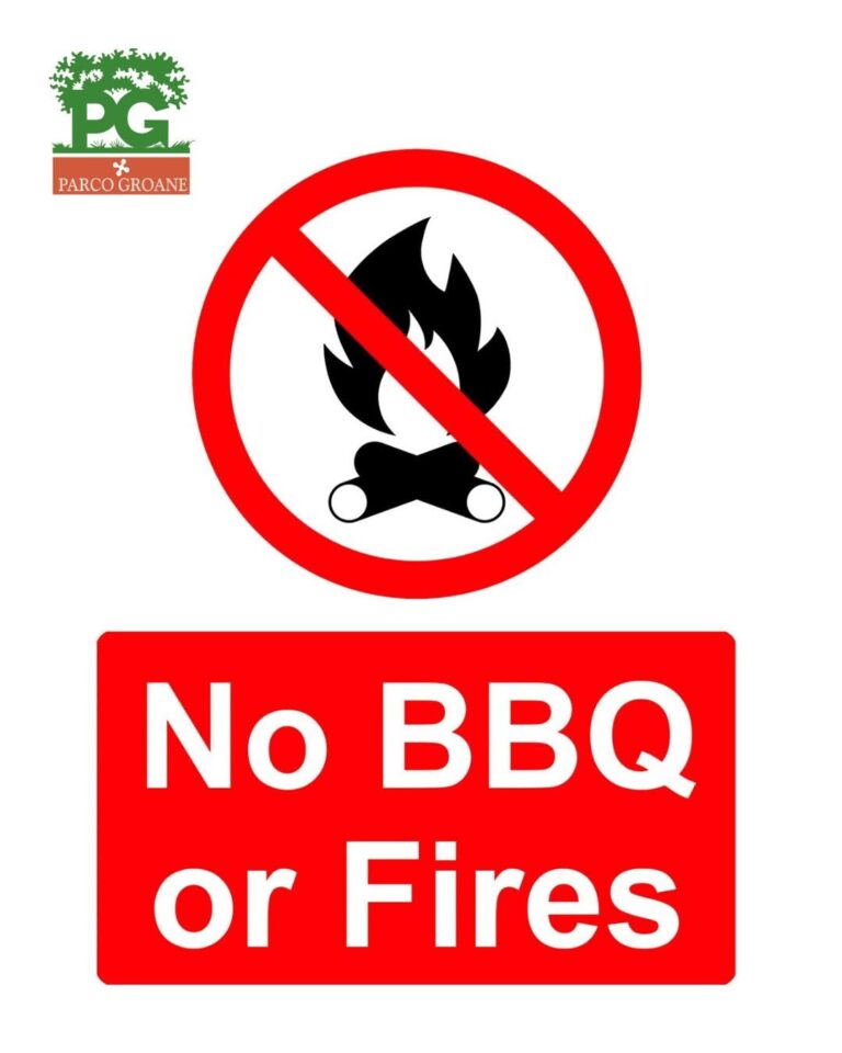 NoBBQ