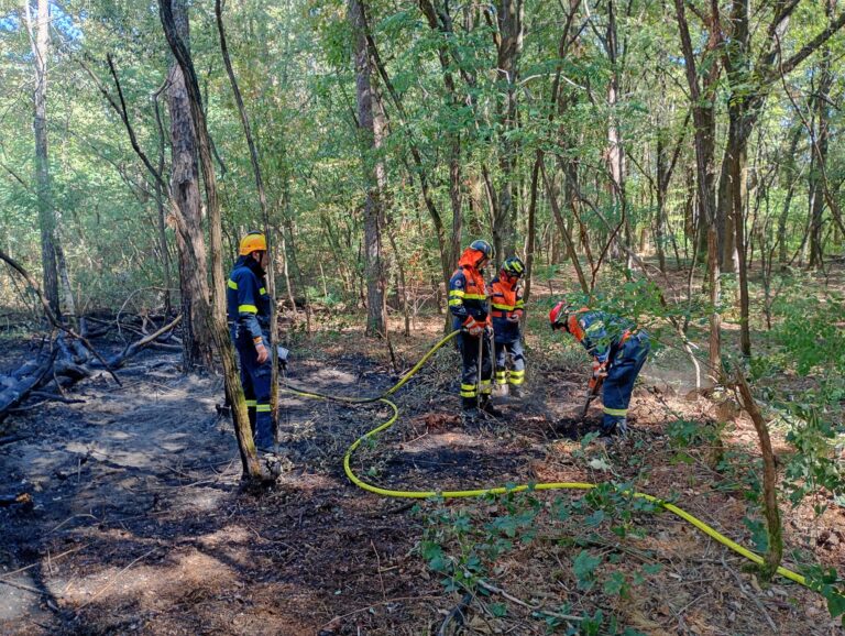 Incendio Ceriano Settembre 2026 (16)