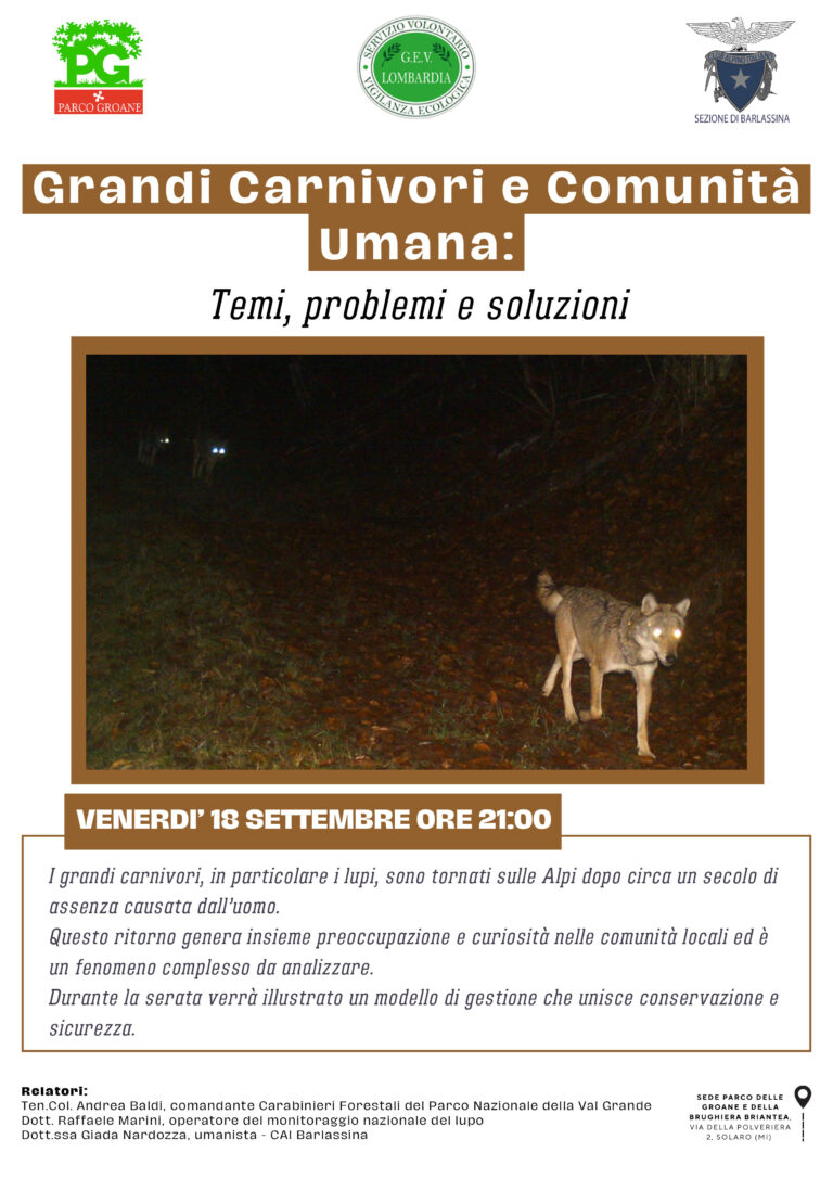 Incontro-Lupo-settembre2026