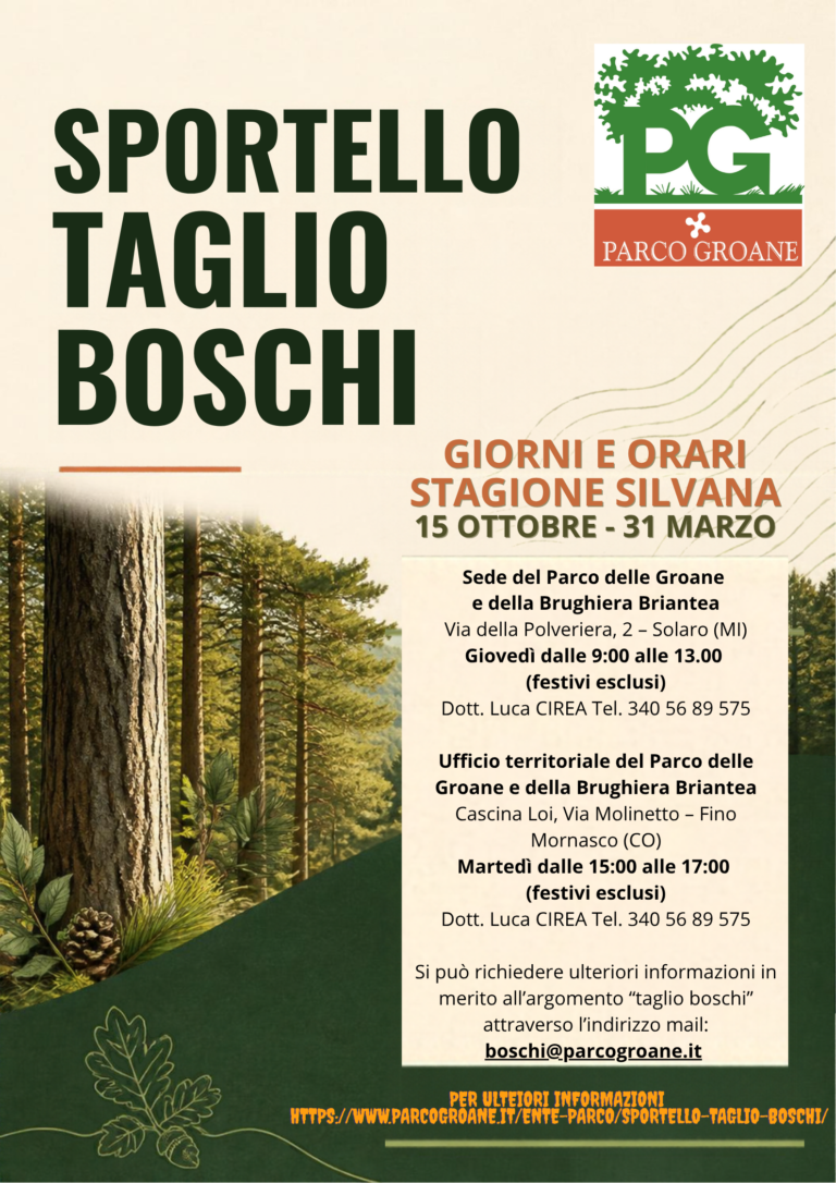 Locandina sportello taglio boschi (1)